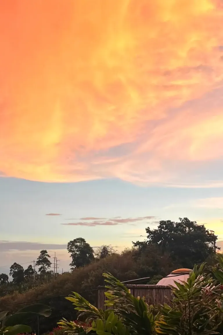 Atardecer naranja sobre el paisaje del Quindío, con vegetación tropical y un domo entre los árboles